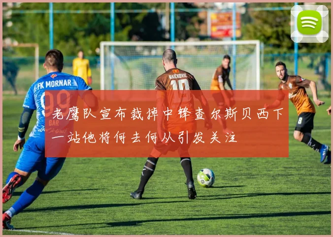 老鹰队宣布裁掉中锋查尔斯贝西下一站他将何去何从引发关注