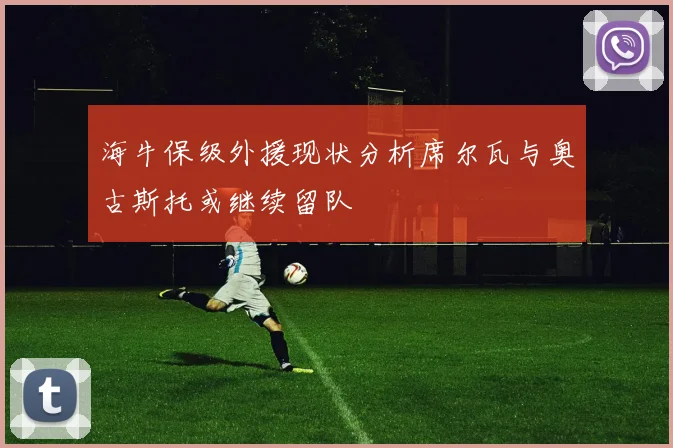 海牛保级外援现状分析席尔瓦与奥古斯托或继续留队