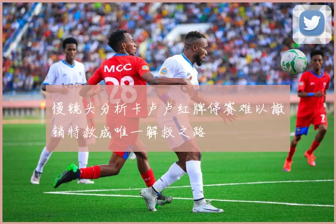 慢镜头分析卡卢卢红牌停赛难以撤销特赦成唯一解救之路
